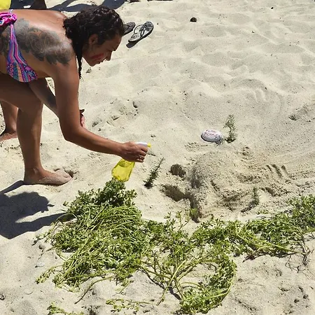 Villaggio La Scogliera Vakantiepark *